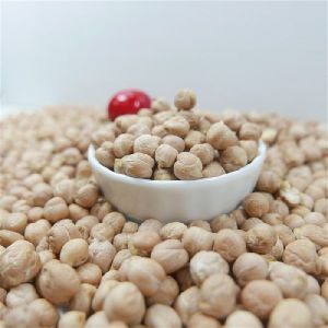 Best Quality Chickpea/chick Pea Market Price HPS