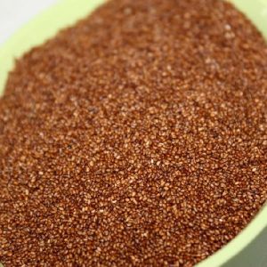 Te100% High Quality Teff Grain