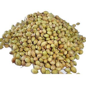 Natural Coriander Seeds