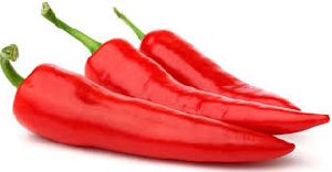 Chilli