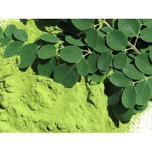 100% Pure Moringa Leaves Powder