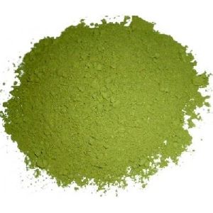 Dry Moringa Powder