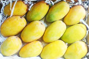 Pure Natural Kesar Mango