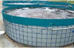 biofloc fish farming tank