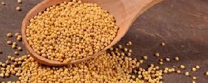 Non Organic Mustard Seeds