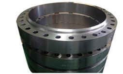 Stainless Steel Girth Flange