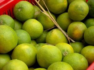 Natural Sweet Lime for Drinks, Making Lemon Juice, Pickles