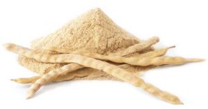 Organic Raw Mesquite Powder