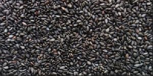 Uncleaned Black Cumin Seeds