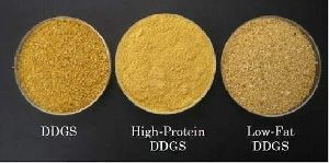 Distillers Dried Grain with Soluble