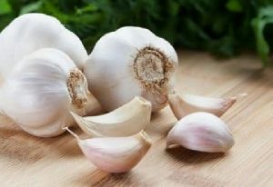 fresh garlic