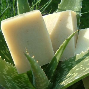 Aloe Vera and Calamine Soap