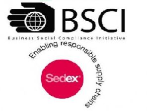 Business Social Compliance Initiative Services , BSCI in Delhi
