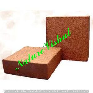 NATURE VISHAL - Coco Peat Blocks - High EC - 1 KG
