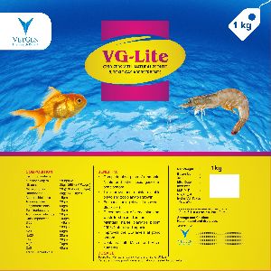 VG-Lite Supplement