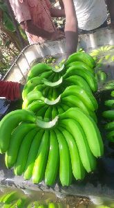 green banana