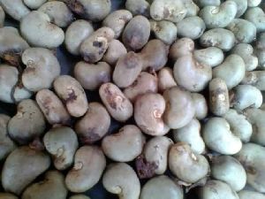 Dried Raw Cashew Nuts