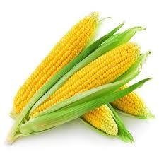 Fresh Yellow Maize