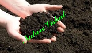 NATURE VISHAL - PhosphateRich Organic Manure (PROM)