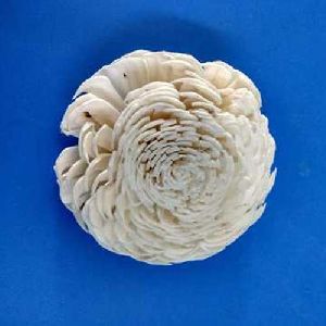 Artificial Sola Dry Flower