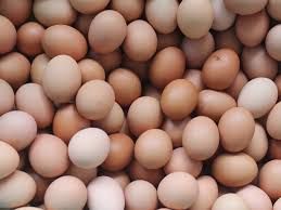 eggs