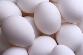 white shell eggs