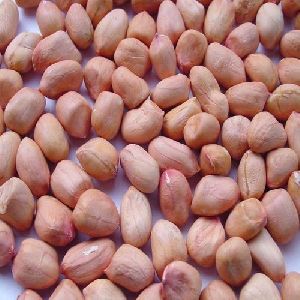 Natural Groundnut Seeds