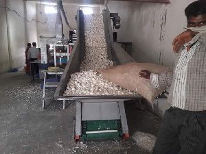 Garlic Sorting Grading Machine