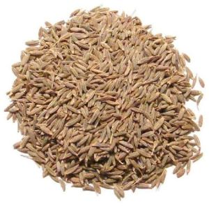 Brown Cumin Seeds, Certification : FSSAI Certified