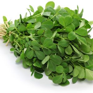 Fenugreek Leaves