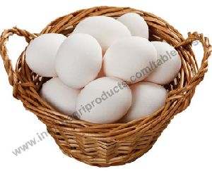 Fresh Chicken Egg
