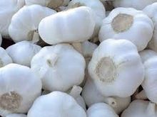 Fresh White Garlic