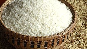 India Rice