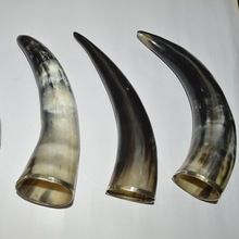Drinking Horn Plain and Metal Rim