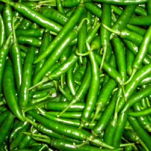 fresh green chilli