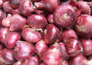 fresh red onion