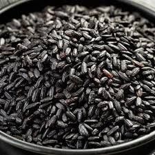 Fresh Organic Black Rice