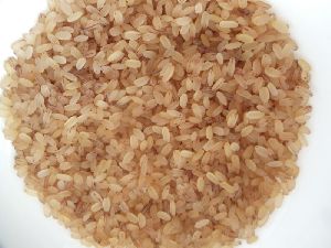 Fresh Organic Brown Rice