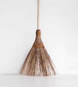 Palm Broom