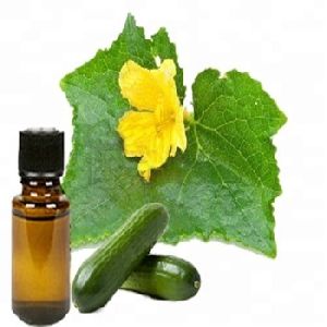 Skin Care Essential Oils Cucumber Oil