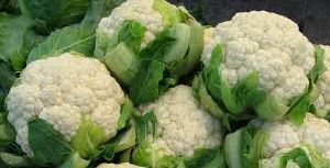 Fresh Hybrid Cauliflower