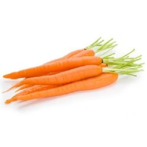 Fresh Natural Carrot