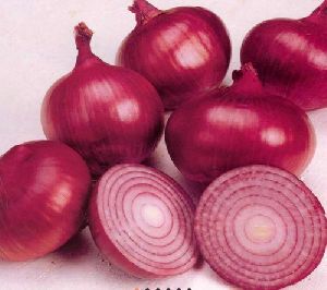 Fresh Large Red Onion