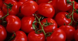 Fresh  Red Tomatoes