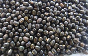 Organic Whole Black Urad Dal