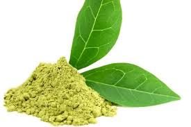 Green Tea Extract 50%