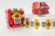 Packaging Labels for Fruits