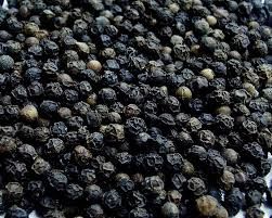 550GL Black Pepper Seeds