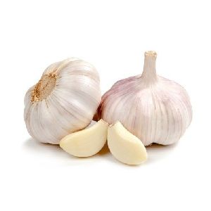 Fresh Raw Garlic