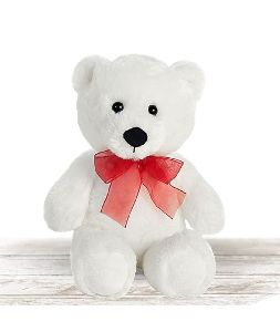 Small Teddy Bear Toy